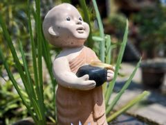 -西双版纳傣族园