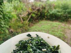 -逢缘柴火农家乐(连南店)