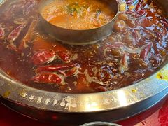 -谭鸭血老火锅(漳州路店)