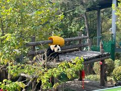 -大连森林动物园