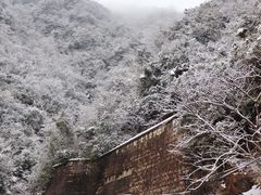 -江南天池