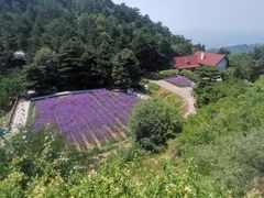 -云峰山自然风景区