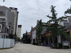 -新津老码头旅游小镇