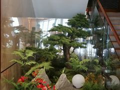 -山东八大碗山东老字号