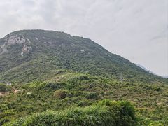 -杨梅坑