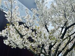 -龙美术馆(西岸馆)