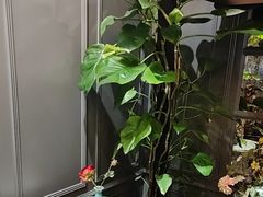 -湖锦酒楼·旗舰店(三阳总店)