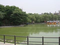 景点-莲湖公园
