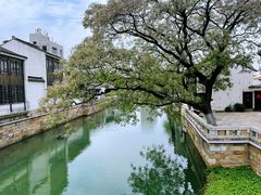 -青果巷历史文化街区