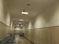 -天津医科大学第二医院