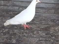 -翰园碑林