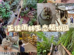 -正佳雨林生态植物园