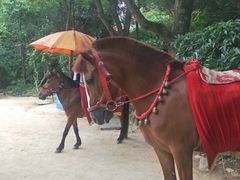 -天目湖山水园