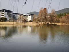 -浙江农林大学(东湖校区)