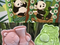 -成都大熊猫繁育研究基地