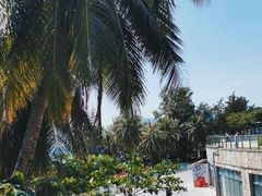 -锦里海景海鲜餐厅.三亚老字号(亚龙湾中心广场店)