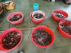 -大天然酒店(军民路店)