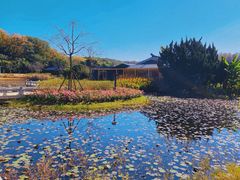 -东湖磨山景区