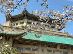 -武汉大学-樱园