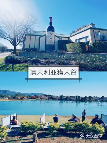 澳大利亚旅行|悉尼猎人谷