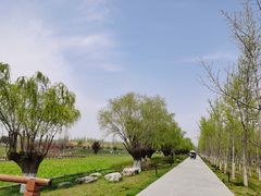 -汉长安城未央宫国家考古遗址公园