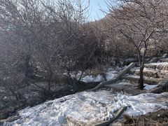-灵山