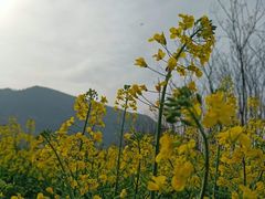 -石砭峪水库
