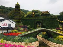 -苏州上方山国家森林公园