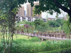 -沐仙湖湿地公园