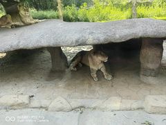 -北京野生动物园