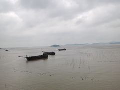 -北岐滩涂