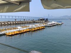 -星海湾跨海大桥