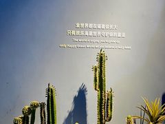 -重庆欢乐海底世界