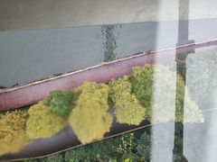 -石燕湖生态旅游景区