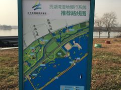 -贡湖湾湿地公园
