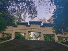 -灵谷景区