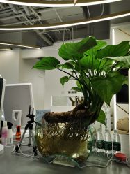 -MYYF SALON烫发染发