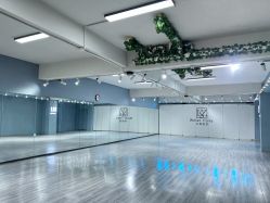 -水灵子舞蹈全国连锁