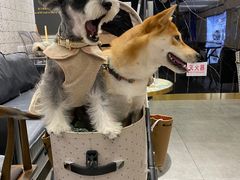 -海马体照相馆|大师(北京华贸中心店)