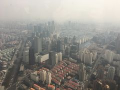 -上海柏悦酒店·世纪100牛排馆