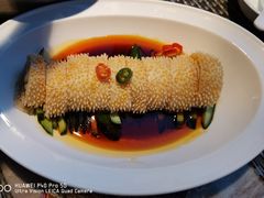 麻辣目鱼肚-阿杜打边炉(五江天街店)