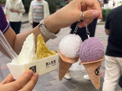 -野人先生现做冰淇淋(北京顺义祥云小镇店)