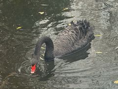 -长广溪湿地公园