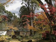 -醍醐寺