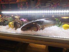 -原志优秀食材·匠心料理·海胆主题(金亿广场店)