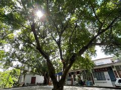 -北海市海滨公园