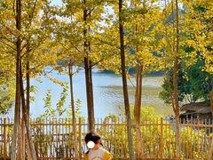 -艾溪湖湿地公园