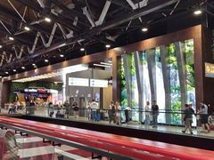 -谢列梅捷沃国际机场