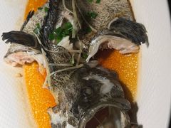 -张家卫·阳江菜·小海鲜(肥婆湾桥店)