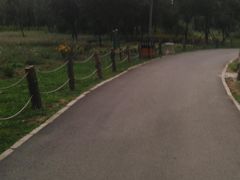 -贵阳市花溪国家城市湿地公园